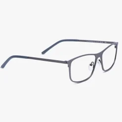 Luxreaders Blue Light Briller Til Mænd<Men's Møn Gun